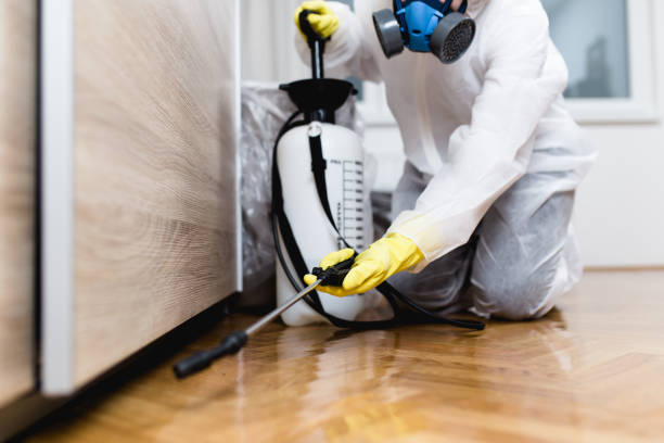 Best Pest Control for Restaurants  in Rincon, GA