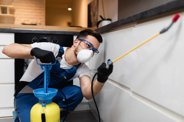 Best Flea Control Services  in Rincon, GA