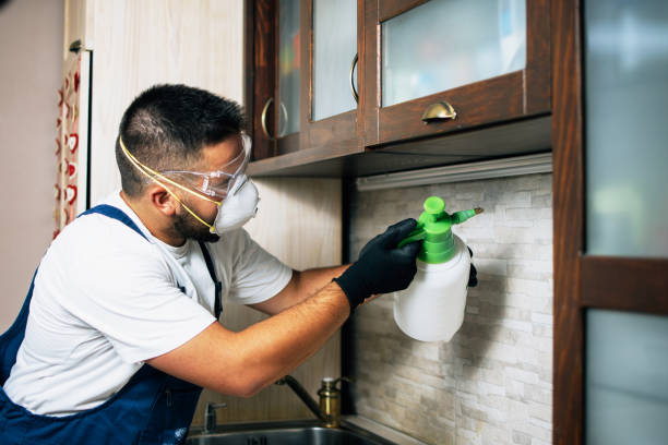 Best Residential Pest Control  in Rincon, GA