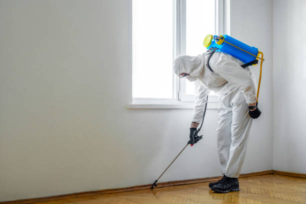 Pest Control Cost in Rincon, GA