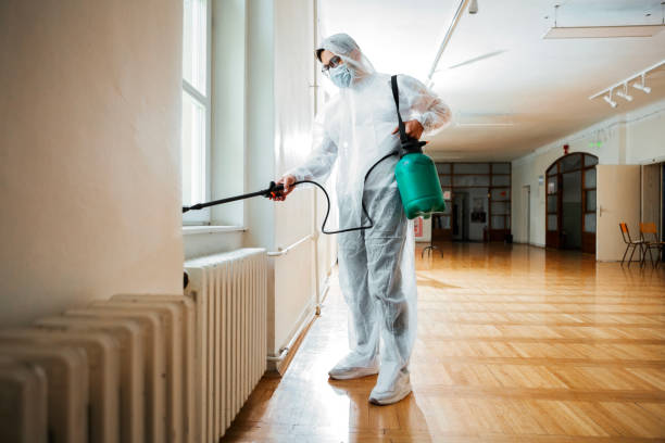 Wasp Removal Services in Rincon, GA