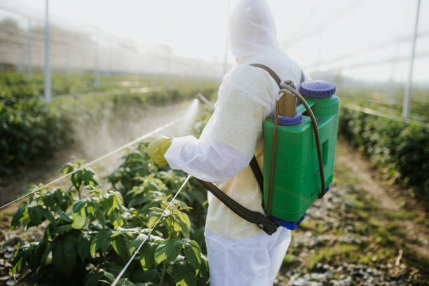 Best Insect Control  in Rincon, GA